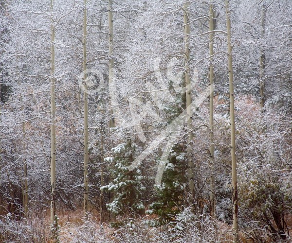 COLORADO Cripple Creek